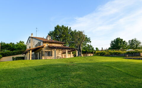 Villa Pergola 8: Herbe, Paysage, Lot Terre, Zone Rurale, Plaine, Domicile, Pelouse, Ferme, Chalet, Biens