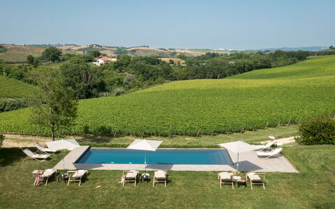La Casa nei Vigneti 10: Piscine, Balancelle, Recours, Mobilier De Jardin, Parapluie, Biens, Loisir, Eco Hôtel, Villa, Aménagement Paysager