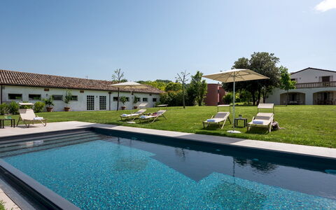 La Casa nei Vigneti 10: Piscine, Biens, Jardin, Hacienda, Aménagement Paysager, Villa, Ferme, Cour, Pelouse, Ombre