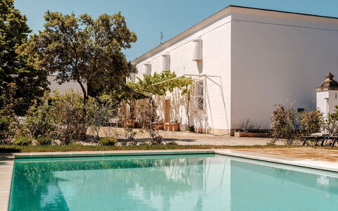 Masseria Profilo 8: Biens, Jardin, Ombre, Piscine, Hacienda, Cour, Aménagement Paysager, Arrière-Cour, Cour, Villa