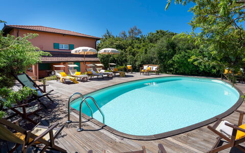 Villa Corallina 12: Piscine, Mobilier De Jardin, Recours, Eco Hôtel, Chaise, Loisir, Parapluie, Hacienda, Villa, Ombre