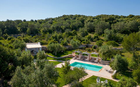 Pigreco 6+2: Arbre, Paysage, Piscine, Jardin, Biens, Aménagement Paysager, Eco Hôtel, Recours, Arrière-Cour, Villa