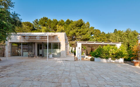 Pigreco 6+2: Arbre, Ombre, Biens, Allée, Béton, Aménagement Paysager, Cour, Hacienda, Dalle, Villa