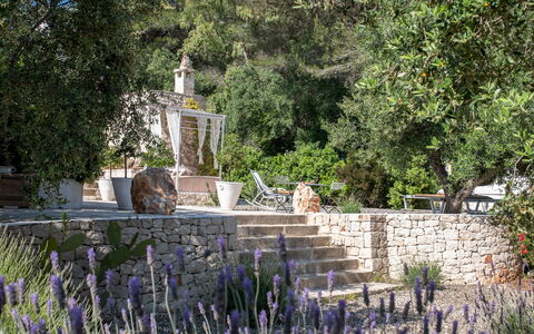 Pigreco 6+2: Arbuste, Jardin, Aménagement Paysager, Arrière-Cour, Jardin Botanique, Cour, Pot De Fleur
