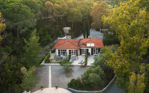 Villa Laconella 8+4: Arbre, Maison, Paysage, Zone Résidentielle, Domicile, Arbuste, Zone Rurale, Toit, Chalet, Biens