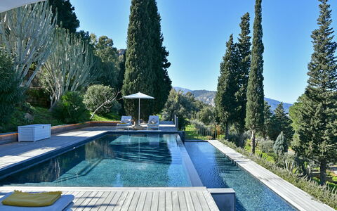 Villa Armonia 8: Bleu, Piscine, À Feuilles Persistantes, Aménagement Paysager, Caractéristique De L'Eau, Mélèze, Famille Pine
