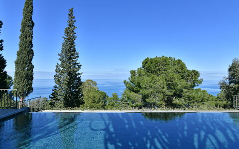Villa Armonia 8: Bleu, Piscine, À Feuilles Persistantes, Tropiques, Mélèze, Famille Pine
