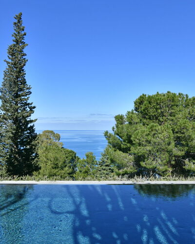 Villa Armonia 8: Bleu, Piscine, À Feuilles Persistantes, Tropiques, Mélèze, Famille Pine