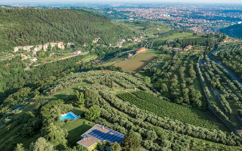 Villa degli Ulivi 8: Vert, La Nature, Environnement Naturel, Vue Du Ciel, Végétation, Paysage, Paysage Naturel, Photographie Aérienne, Montagnes, Lot Terre