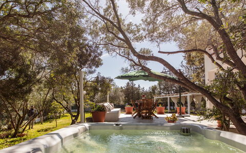 Casa Valentina 6: Arbre, Meubles, Recours, Piscine, Ombre, Mobilier De Jardin, Jardin, Chaise, Arrière-Cour, Biens