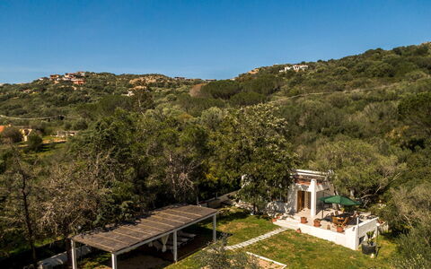 Casa Valentina 6: Arbre, Paysage, Arbuste, Zone Rurale, Biens, Printemps, Jardin, Eco Hôtel, Aménagement Paysager, Hacienda