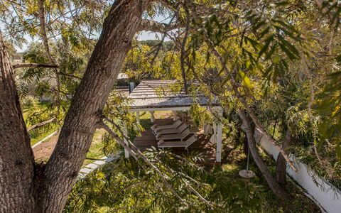 Casa Valentina 6: Branche, Arbre, Feuille, Bois, Végétation, Brindille, Tronc, Printemps, Suppression Des Plantes Ligneuses, Lumière Du Soleil