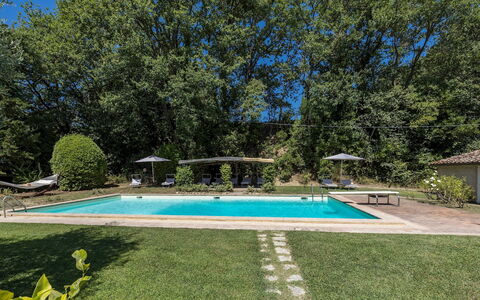 Casale le Querce di Cetona 8: Piscine, Arbre, Ombre, Jardin, Biens, Recours, Aménagement Paysager, Arrière-Cour, Pelouse, Hacienda