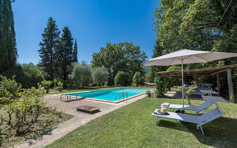 Casale le Querce di Cetona 8: Piscine, Jardin, Biens, Ombre, Aménagement Paysager, Pelouse, Cour, Villa, Arrière-Cour, Recours