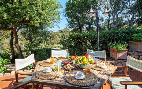 Villa Stella 6: Meubles, Mobilier De Jardin, Table, Chaise, Tableau De Plein Air, Table Cuisine Et Salle A Manger, Pot De Fleur, Jardin, Patio