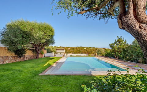 Villa la Marina 5+1: Bleu, Piscine, Architecture, Jardin, Biens, Recours, Aménagement Paysager, Ombre, Arrière-Cour, Hacienda