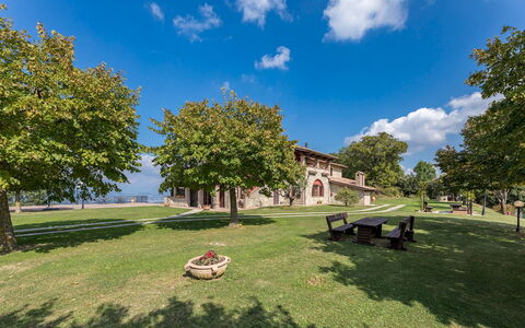 Tenuta Montiepoli 12+3: Herbe, Paysage, Espace Public, Plaine, Biens, Pelouse, Ombre, Hacienda, Jardin, Parc