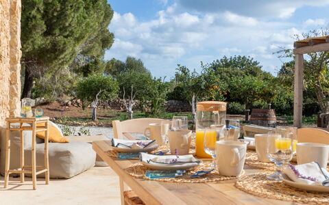 Palmento San Lorenzo 6: Meubles, Table, Mobilier De Jardin, Chaise, Tableau De Plein Air, Table Cuisine Et Salle A Manger, Ombre, Patio, Jardin, Pot De Fleur