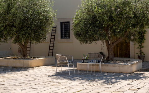 Dimora degli Ulivi 10: Ombre, Jardin, Dalle, Suppression Des Plantes Ligneuses, Pot De Fleur, Béton, Cour, Aménagement Paysager, Brique, Conception