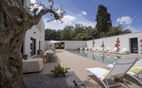 Villa Maria Paradiso 10: Domicile, Composite, Biens, Ombre, Béton, Aménagement Paysager, Piscine, Cour, Jardin, Conception