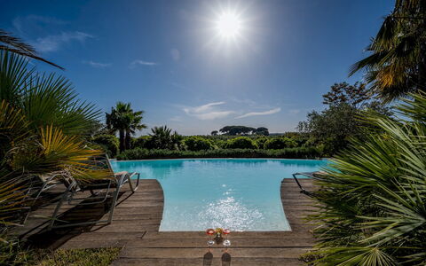 Villa Pineta 6: Bleu, Piscine, Recours, Eco Hôtel, Tropiques, Jardin, Aménagement Paysager, Ville Resort