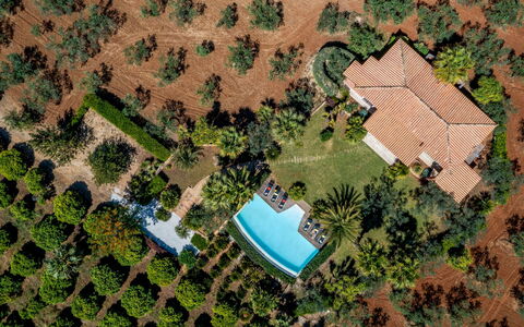 Villa Pineta 6: Arbre, Piscine, Paysage, Recours, Biens, Eco Hôtel, Jardin, Aménagement Paysager, Hacienda