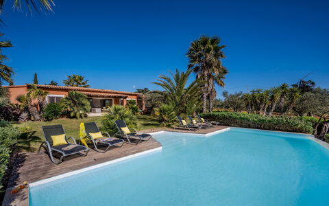 Villa Pineta 6: Bleu, Recours, Piscine, Eco Hôtel, Ombre, Tropiques, Biens, Hacienda, Aménagement Paysager