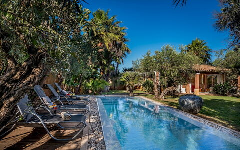 Villa Antura 4: Piscine, Bleu, Arbre, Recours, Eco Hôtel, Mobilier De Jardin, Ombre, Biens, Balancelle, Hacienda