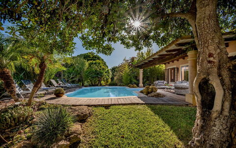 Villa Ashram 6: Piscine, Arbre, Recours, Ombre, Mobilier De Jardin, Eco Hôtel, Biens, Jardin, Aménagement Paysager
