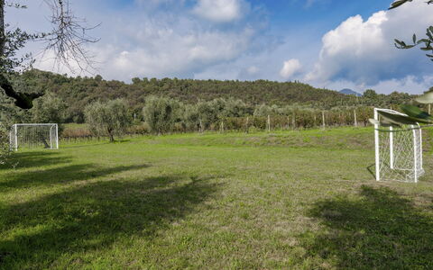 Tenuta Navelli 12+2: Herbe, Arbre, Prairie, Lot Terre, Plaine, Prairie, Pâturage, Pelouse, Champ