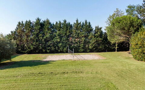 Nonna Isa 12: Arbre, Herbe, Plaine, Lot Terre, Pelouse, Jardin, Ombre, Suppression Des Plantes Ligneuses, Prairie
