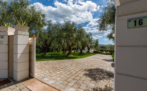 Villa Mandara 8+2: Arbuste, Jardin, Ombre, Aménagement Paysager, Passerelle, Parc, Arrière-Cour