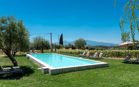 La Buona Maniera 10: Piscine, Jardin, Biens, Ferme, Hacienda, Pelouse, Recours, Arrière-Cour, Cour, Eco Hôtel