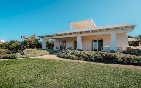 Kyvos 10: Arbuste, Domicile, Lot Terre, Biens, Ferme, Jardin, Ombre, Villa, Aménagement Paysager