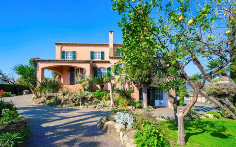 Villa la Cicaliera 10: Bleu, Arbuste, Jardin, Aménagement Paysager, Hacienda, Biens, Villa, Tropiques, Eco Hôtel, Manoir