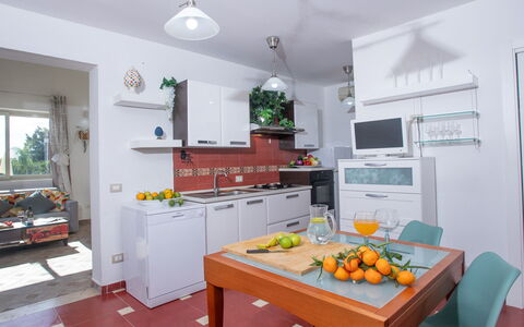 Profumo di Zagara 6+2: Cuisine, Meubles, Appareil De Cuisine, Principaux Appliance, Design Intérieur, Sol, Comptoir, Pièce, Appartement, Domicile