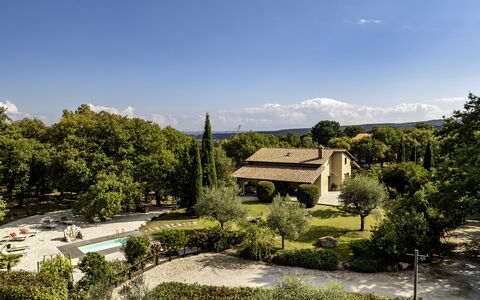 Villa Sparta 8+2: Arbre, Feuille, Végétation, Arbuste, Maison, Paysage, Domicile, Lot Terre, Jardin