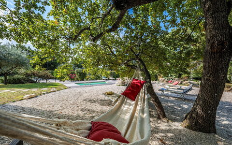 Villa Sparta 8+2: Branche, Tronc, Loisir, Printemps, Ombre, Lumière Du Soleil, Jardin, Parc, Vacances, Ombre