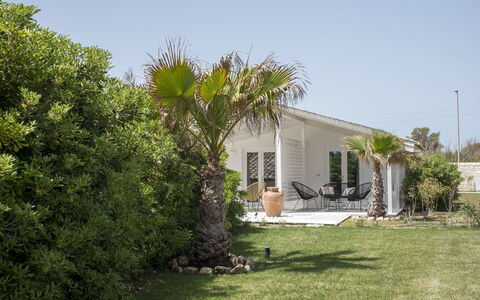 Baia L'Aura 8: Arbuste, Maison, Domicile, Chalet, Jardin, Ombre, Aménagement Paysager, Suppression Des Plantes Ligneuses, Biens
