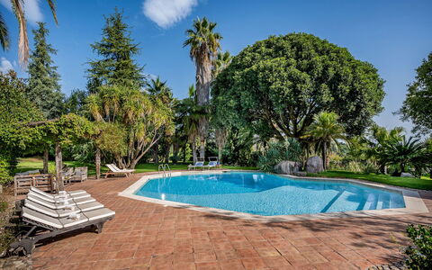 Linera 10: Piscine, Arbre, Recours, Ombre, Eco Hôtel, Jardin, Aménagement Paysager, Biens, Hacienda