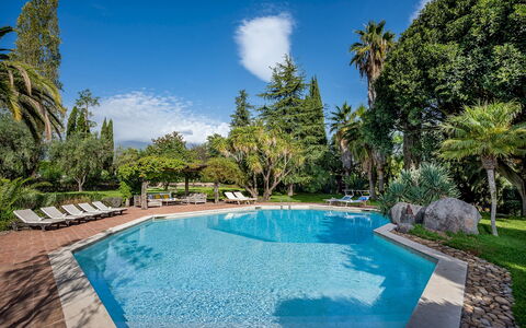 Linera 10: Piscine, Arbre, Recours, Eco Hôtel, Ombre, Jardin, Biens, Hacienda, Aménagement Paysager