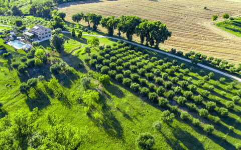 Casa Sant'Elia 7+3: Paysage, Zone Rurale, Plaine, Lot Terre, Agriculture, Plantation, Champ, Station De Montagne, Prairie, Ferme