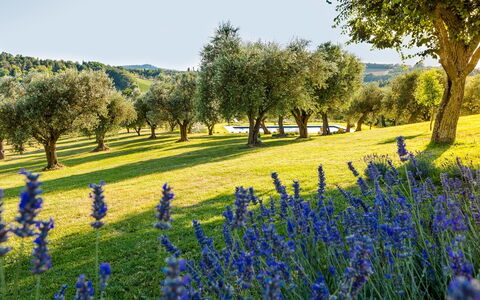 Casa Eugenia 8: Bleu, Vert, Paysage Naturel, Prairie, Paysage, Plaine, Prairie, Champ, Couverture De Sol