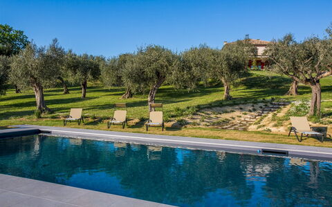 Casa Eugenia 8: Bleu, Piscine, Jardin, Biens, Aménagement Paysager, Villa, Hacienda