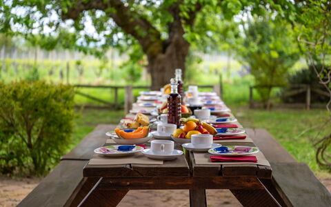 Sangiovese 14: Vaisselle, Table, Meubles, Aliments, Mobilier De Jardin, Jardin, Tableau De Plein Air, Serveware, Petit Déjeuner, Pique-Nique