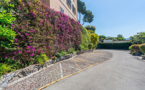 La Scogliera di Sori 5+1: Arbuste, Rose, Couverture De Sol, Jardin, Trottoir, Printemps, Haie, Aménagement Paysager, Passerelle, Jardin Botanique