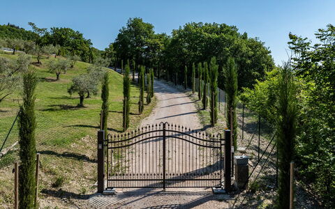Villa Mamon 6+2: Arbuste, Porte, Clôture, Jardin, Piste, Aménagement Paysager, Passerelle, Accueil Escrime, Allée, Parc
