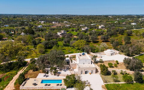 Masseria Grotta Antica 6+2: Arbre, Paysage, Biens, Vue Du Ciel, Aménagement Paysager, Photographie Aérienne, Piscine, Villa, Hacienda, Plantation
