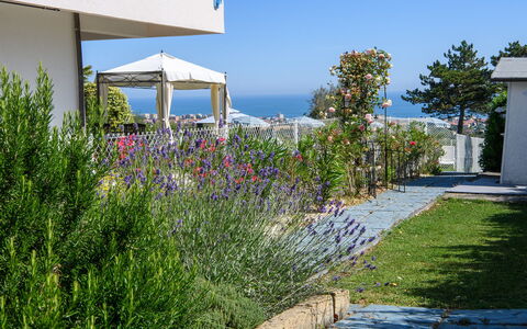 Villa Alma 8+2: Fleur, Arbuste, Jardin, Aménagement Paysager, Ombre, Cour, Jardin Botanique, Passerelle