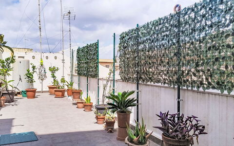 La Casa di Mary: Biens, Aménagement Paysager, Villa, Haie, Balcon